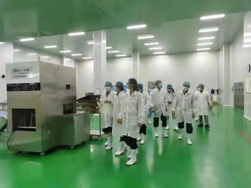 国家市场监管总局食品经营司到海口高新分局开展主题调研指导工作