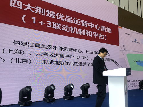 湖北组团赴南京推介湖北荆楚优品