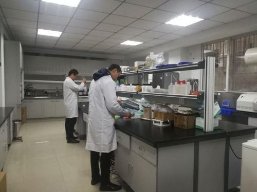 宜宾市县农产品质量检测机构全面通过 双认证