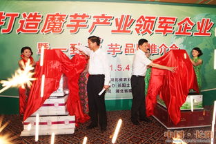 中国 长阳