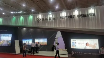 5 20电商大伽武汉齐亮剑 网商企业集体淘金