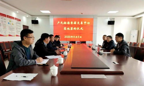 卢氏渤海香菇交易中心即将落地
