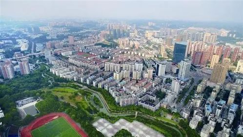 聚焦“四个重大” 展现担当作为 奋力谱写宜昌商务高质量发展新篇章